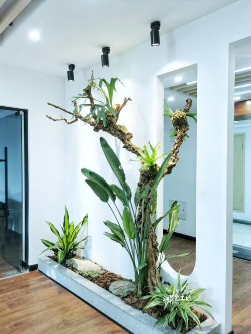 室内植物造景图片大全室内造景图片大全