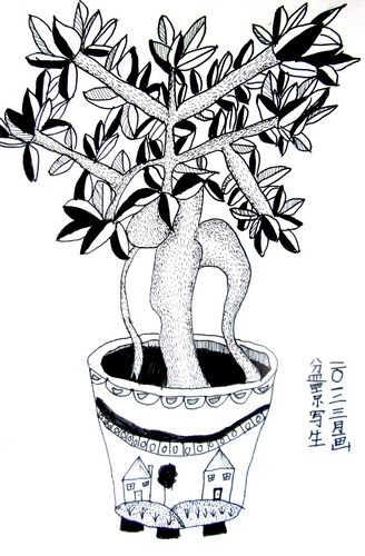 盆栽植物写生图片植物写生图片