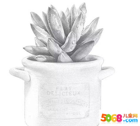 盆栽植物素描图片盆栽素描
