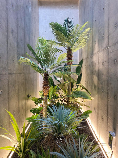 室内植物造景图片大全室内造景图片大全