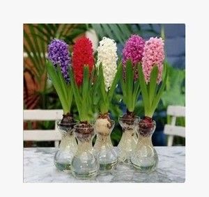 新的时装花瓶打算用于批发,绿色胡萝卜则用于厚玻璃花瓶,可怕的包装是出售的。
