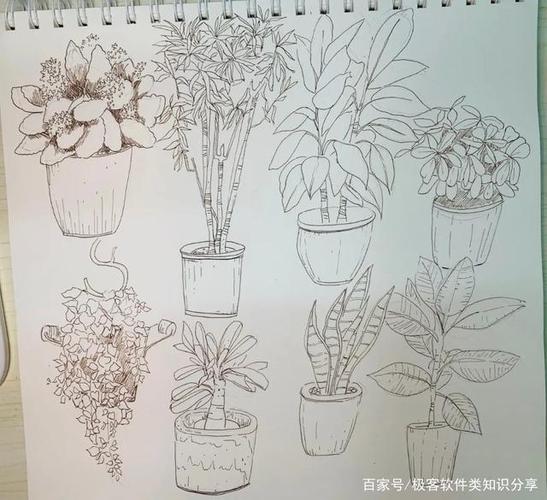 绘画小技巧|新人如何简单的画盆栽小植物?内附水彩