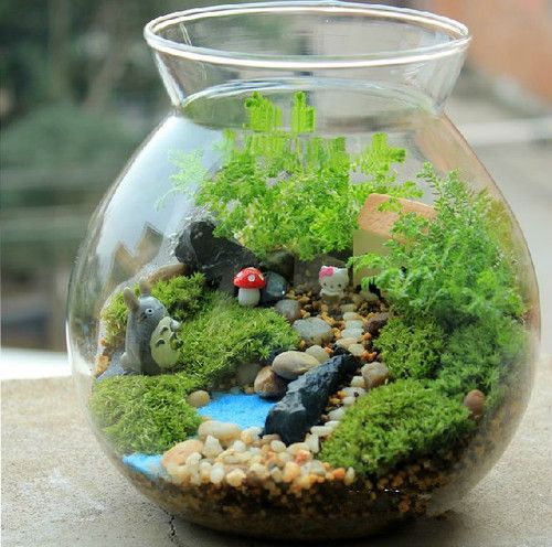 摩斯微型观赏生态瓶 宫崎龙猫玩具 创意微型植物 和苔丝地