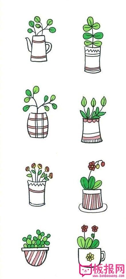 简单的植物简笔画大全,小清新植物盆栽