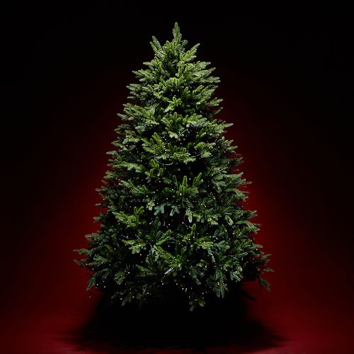 8米高的家庭加密了圣诞树 1.5米宽1.5米宽的月木圣诞套房 2米宽度一米的优美裸树
